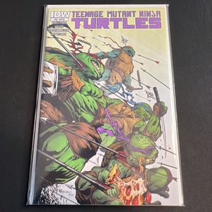 Teenage Mutant Ninja Turtles #46 Cover RI Variant 1:10 IDW