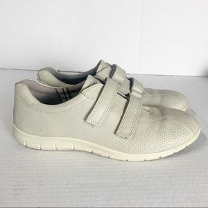 Ecco cream hot sale