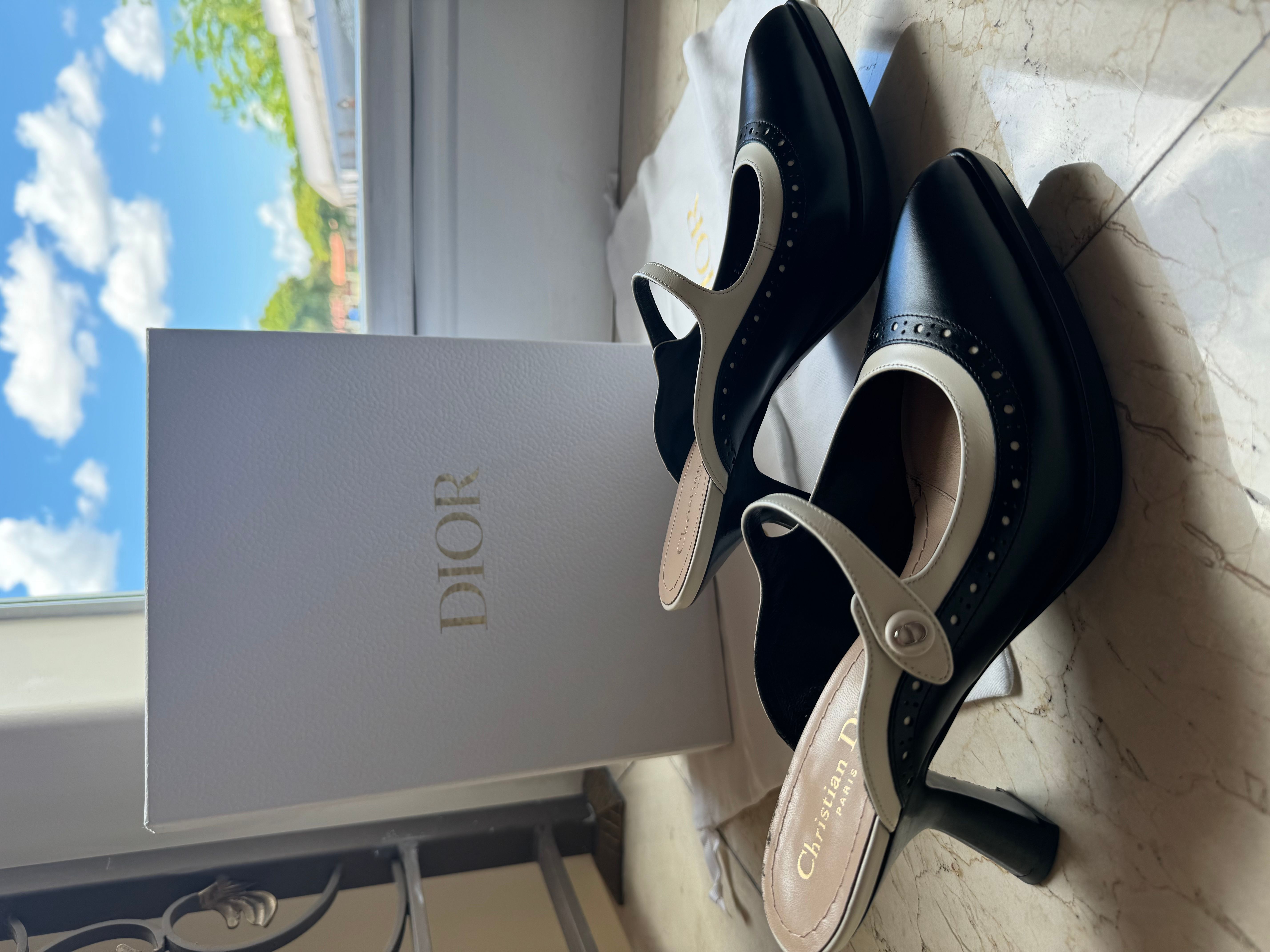 Dior SpectaDior Black and White Mule · Whatnot: Shop, Sell