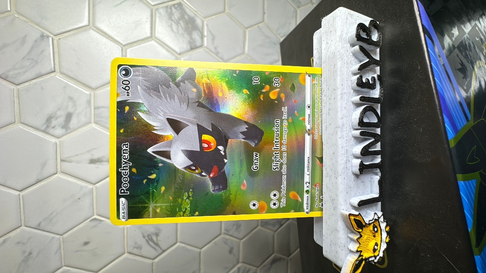 Poochyena #GG33  Whatnot: Shop, Sell, Connect