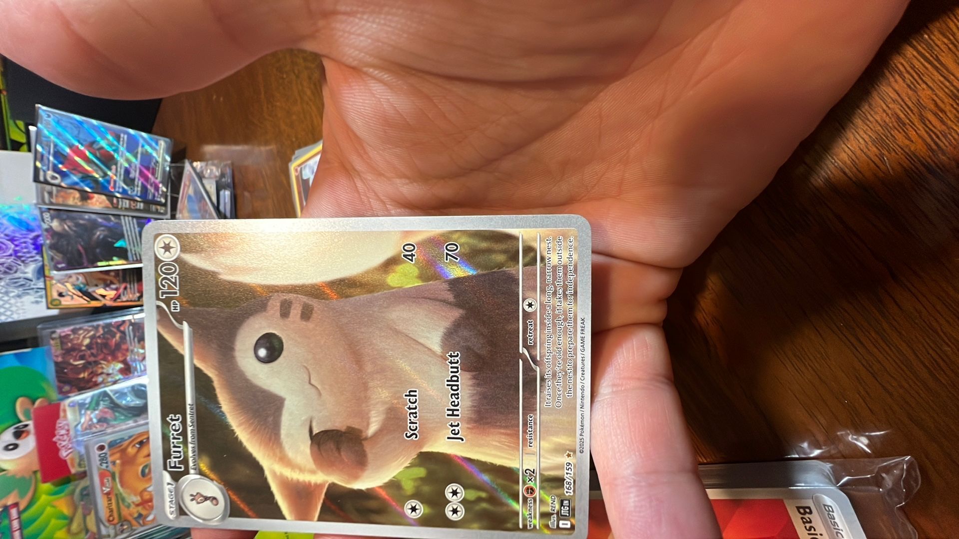Furret 168/158 IL Pokmon journey together English Nm/M  Whatnot: Shop,  Sell, Connect