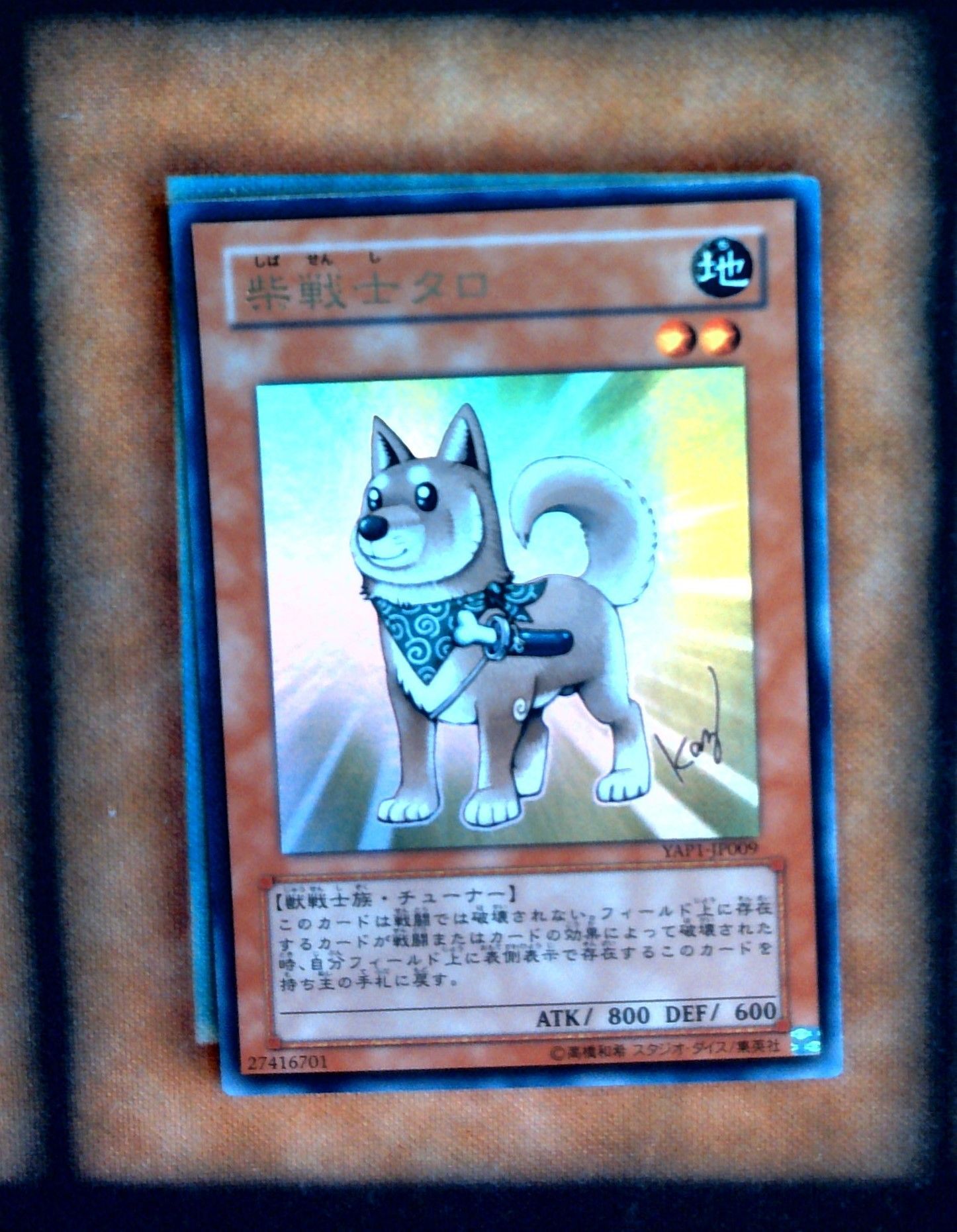 shiba yugioh card YAP1-EN008 Shiba-Warrior Taro Limited Edition + Free Original Gwindi Card  Sleeve : Amazon.nl: Toys & Games main image 0