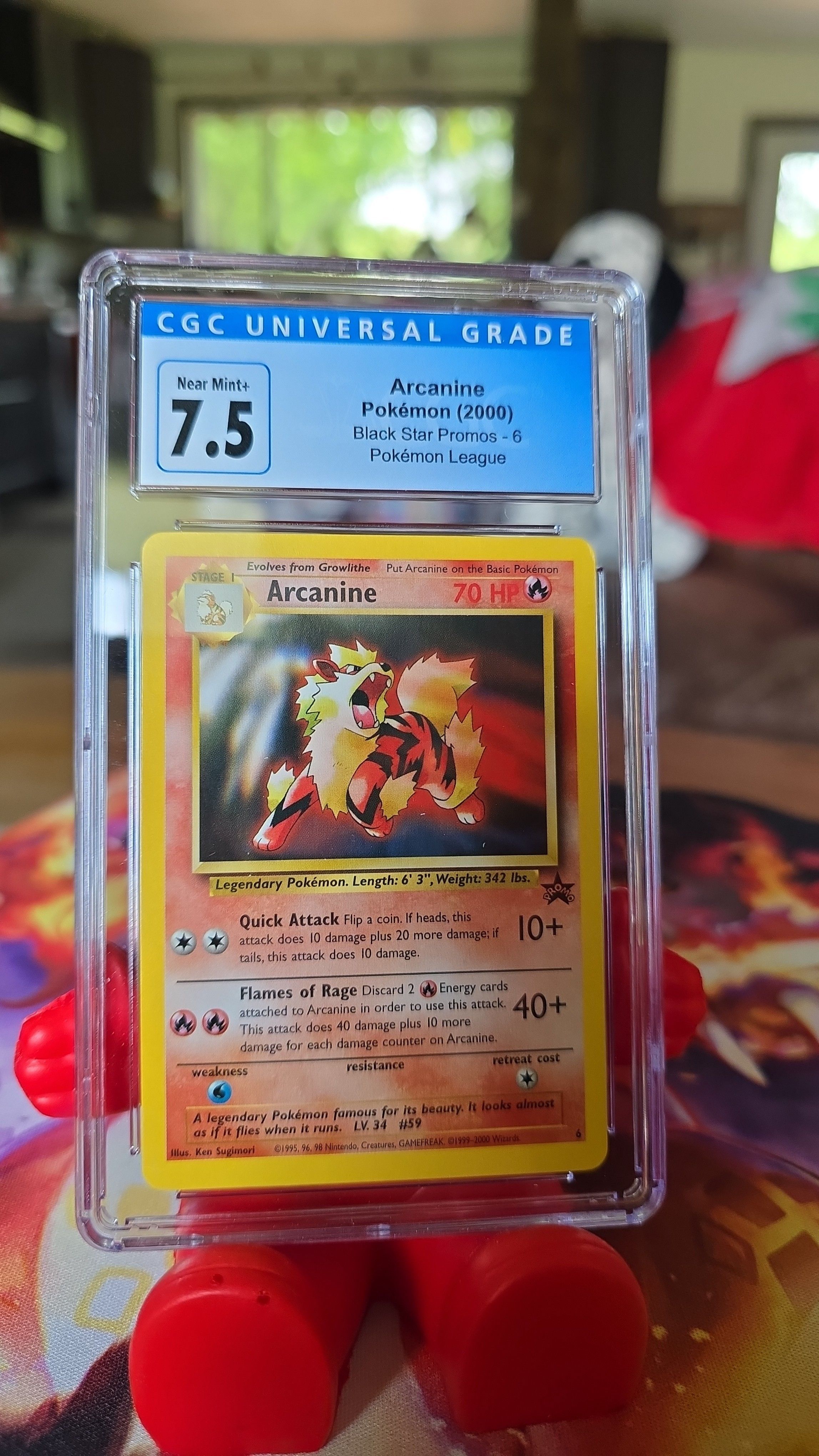 sell pokemon cards nyc Arcanine (Light) 12 105 Case