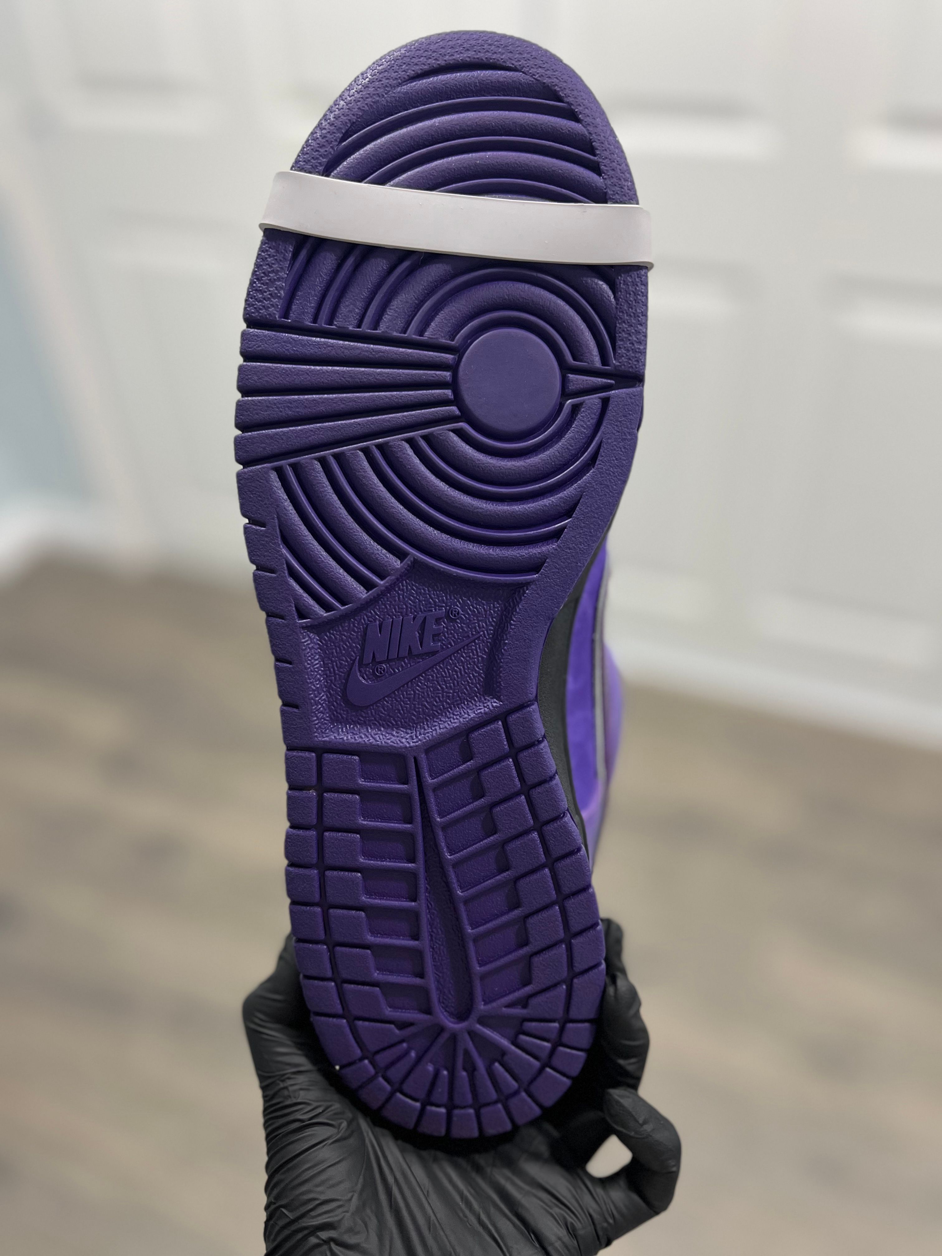 Size 10.5 - Nike Concepts x Dunk SB Special Box Low Purple