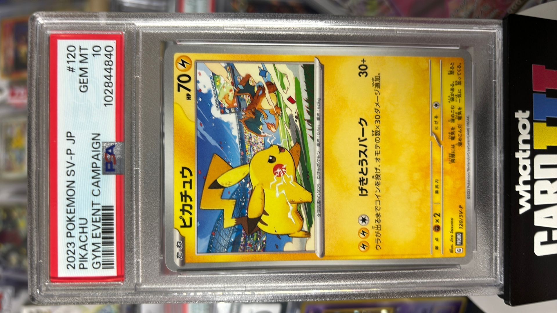 PSA１０　２連番　ピカチュウ　GＹM　EVENT CAMPAIGN PSA 10 Pikachu Gym Promo Set of 2 - Pokemon Card Japanese | eBay