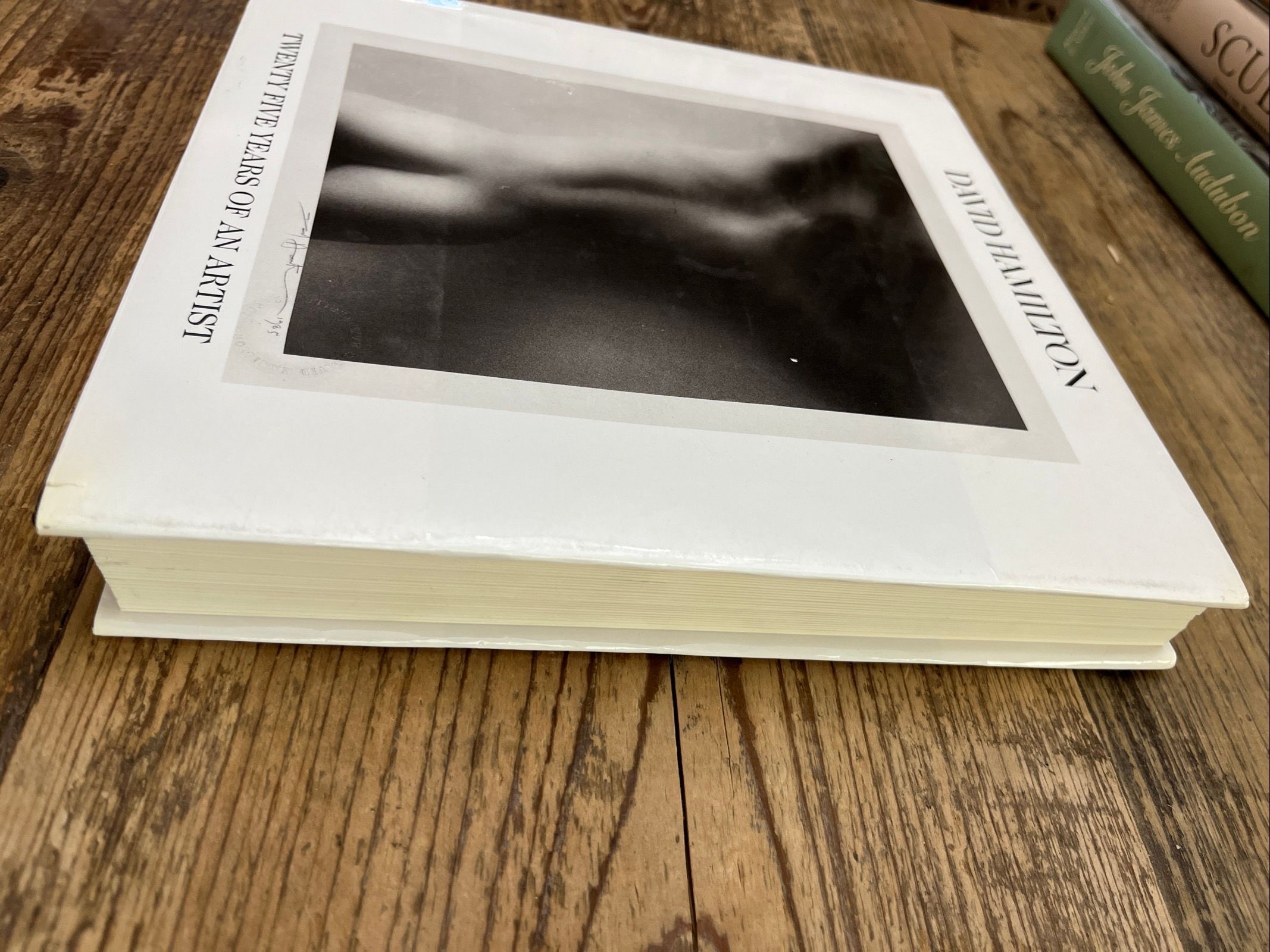アート・デザイン・音楽 DAVID HAMILTON, TWENTY FIVE YEARS OF... Amazon.co.jp: DAVID HAMILTON TWENTY FIVE YEARS OF AN ARTIST