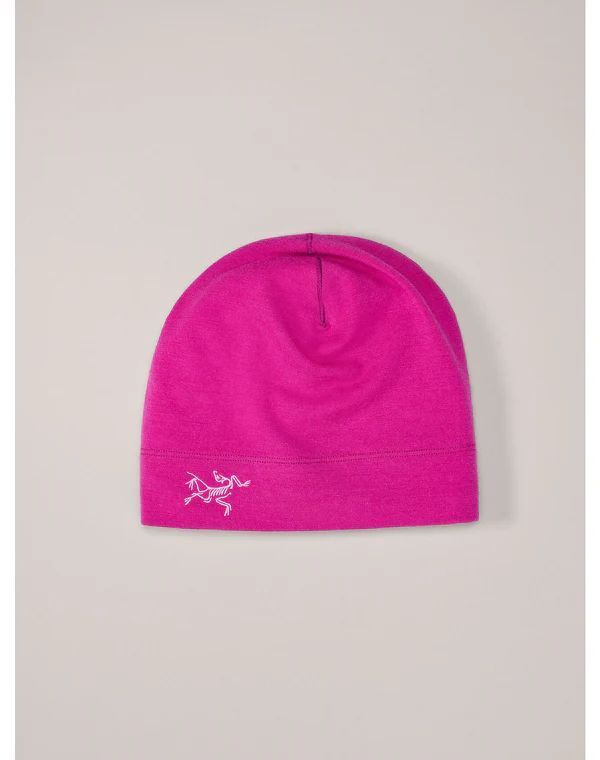 Size【フリー】 ARC'TERYX アークテリクス 22AW Grotto Toque