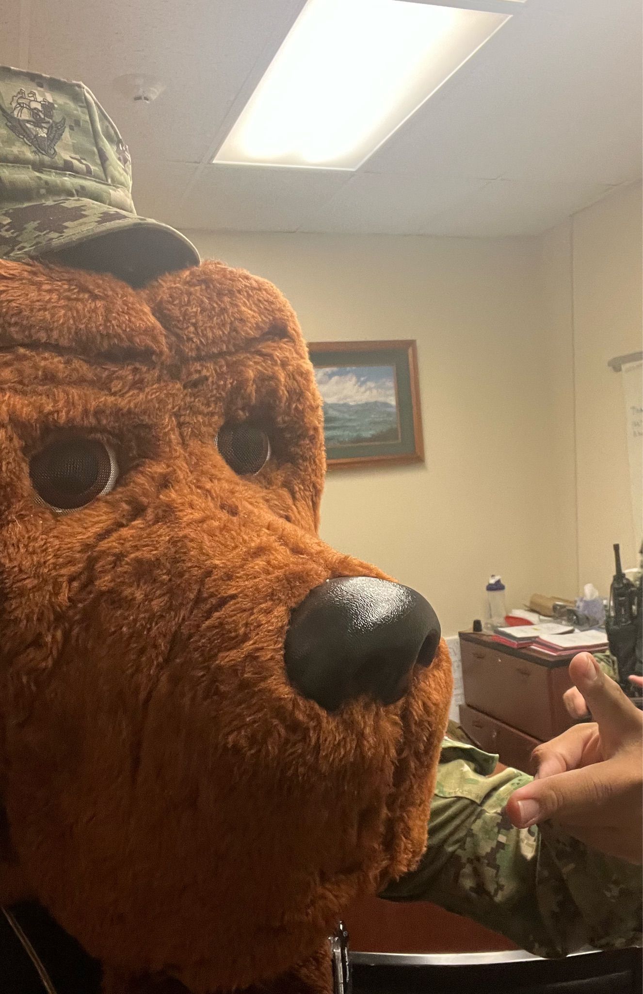 Whatnot Special Delivery Zard Spin Wheel PT. 1!!! Livestream by