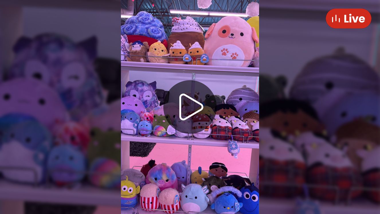 Whatnot Popup New Squishies 🫶 Livestream By Anacheese Plush