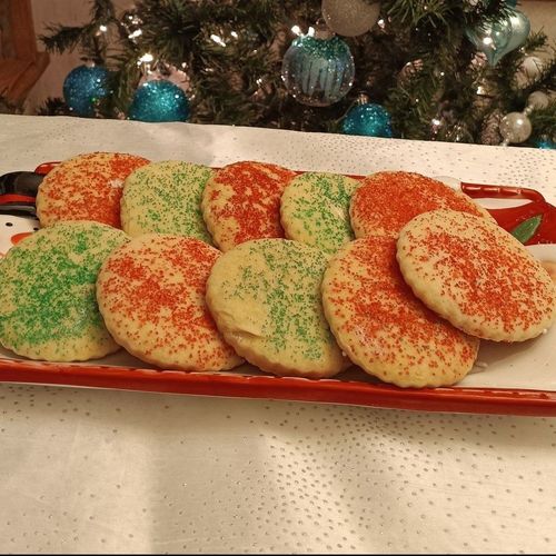 Dehydrator Cookies – Riotflower's Realm