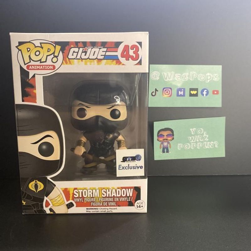 Storm Shadow (Ninja-Ku)