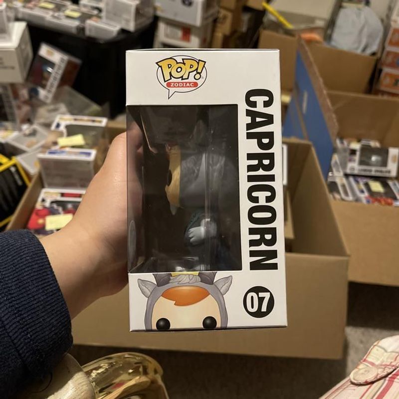 capricorn funko