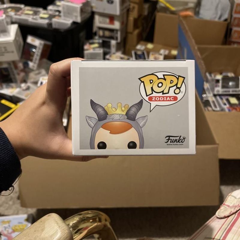 capricorn funko