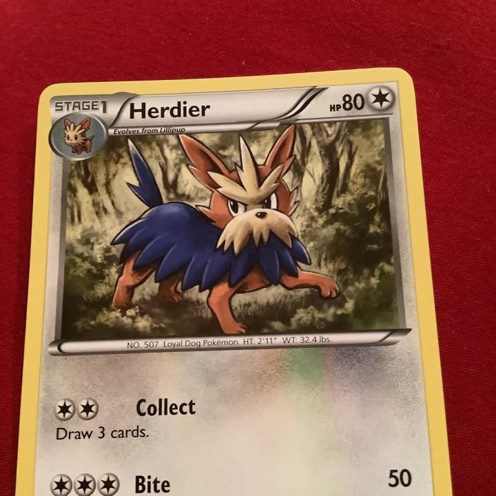 Verified Herdier Black White Pokemon Cards Whatnot