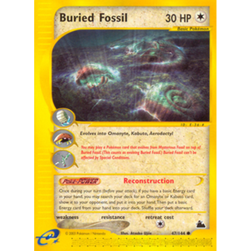 Burried Fossil - Skyridge