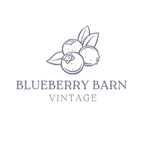 whatnot-vintage-treasures-galore-my-first-show-livestream-by-blueberrybarnvintage