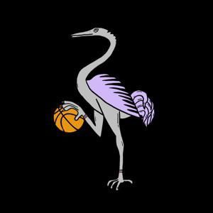 Whatnot 🦢 MIDDAY SWAN UFC MYSTERY PACKS CHASING GOLD, WHITE