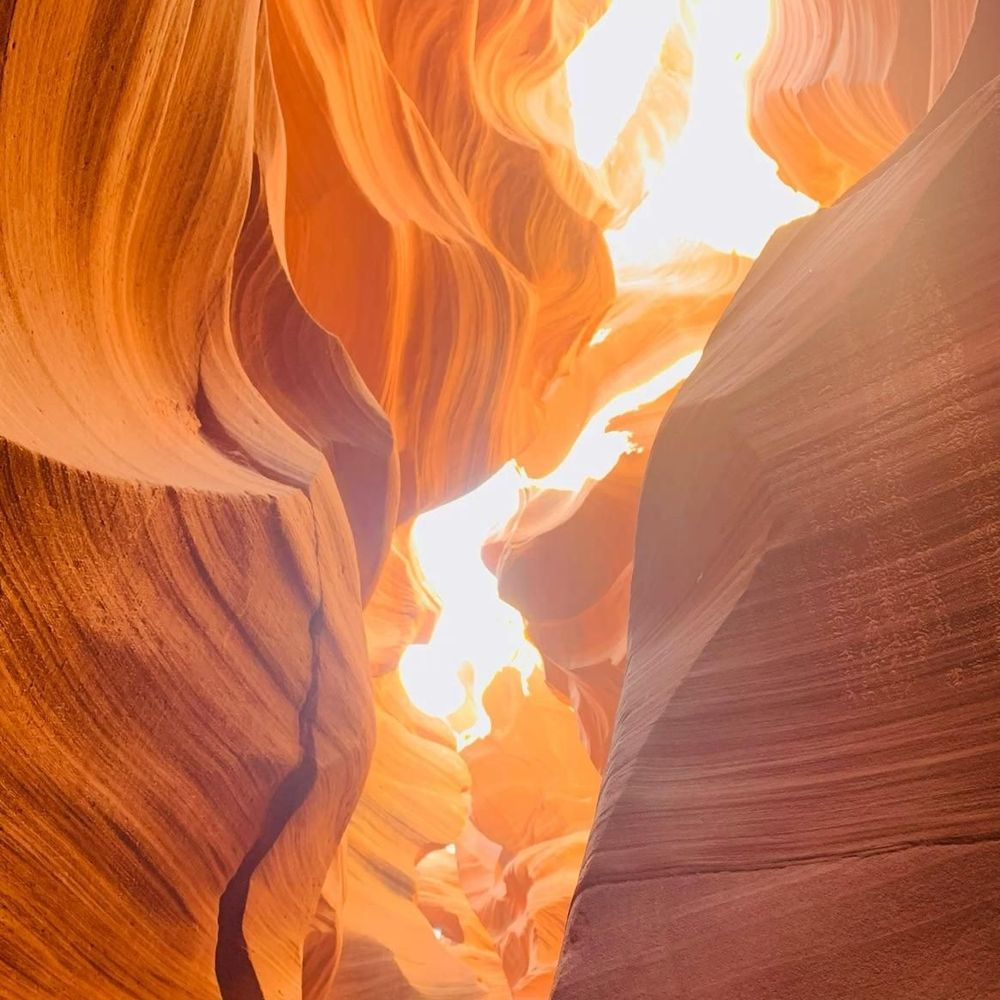 Whatnot Pop Up Women’s Sizes XS3XL Livestream by nuflipz thrifting