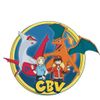 cbv_collectibles profile image