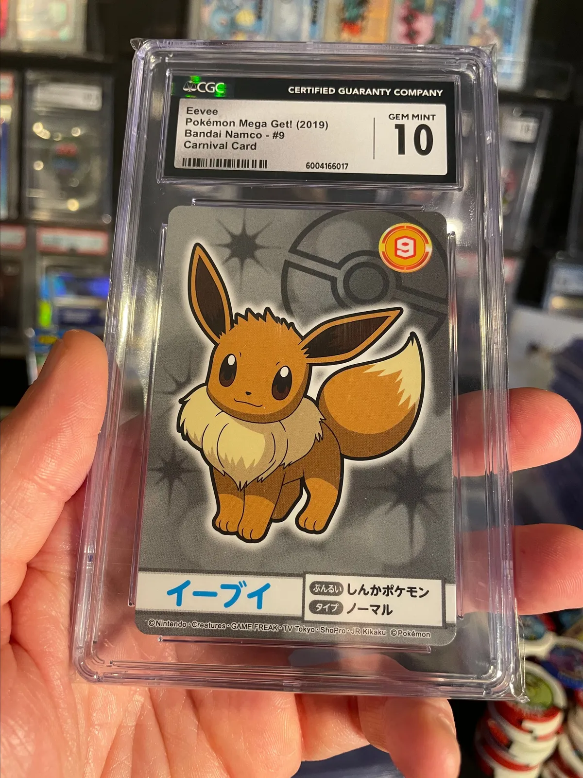 eevee pokemon card 2019 TCG - SM12 - 074/095 (C) Colorless Artist 2019 Pokmon Mega Get! Eevee