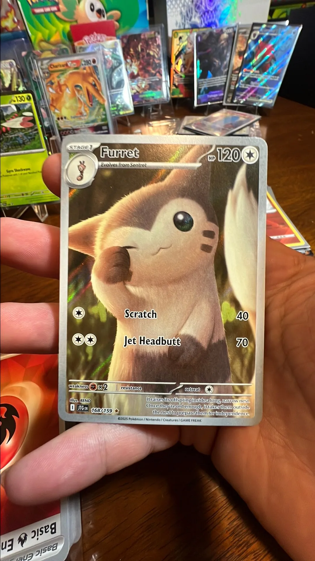 Furret 168/158 IL Pokmon journey together English Nm/M  Whatnot: Shop,  Sell, Connect