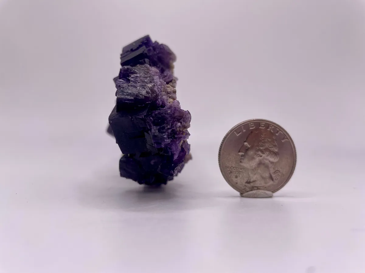 Denton Mine Fluorite · Whatnot: Shop, Sell, Connect