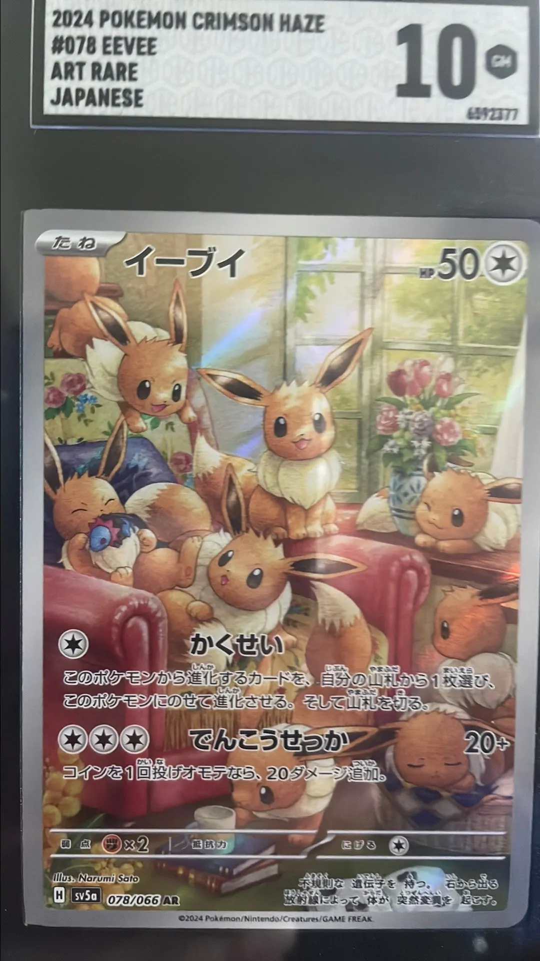 graded eevee pokemon card Eevee 188 167 (Graded) Case main image 1