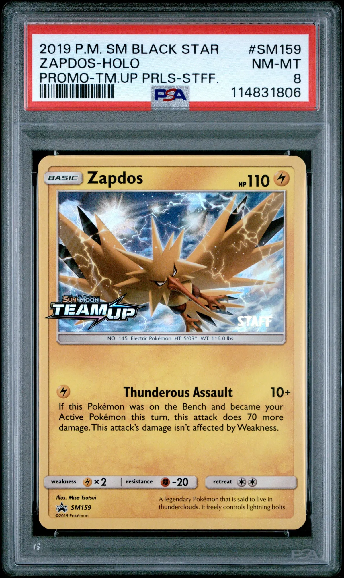 Lightning Type Pokemon Card Pokemon Promo Card Zapdos #23 - SEALED, Near  Mint, Black Star Promo, 1999 Wizards Of The Coast Pokemon TCG Rare