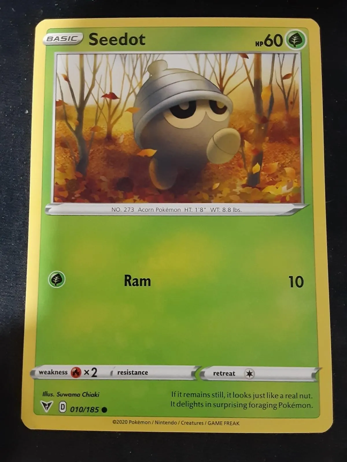 pokemon card rhyhorn Pokemon Cards: RHYHORN 60/146 x4: X & Y  Archeron