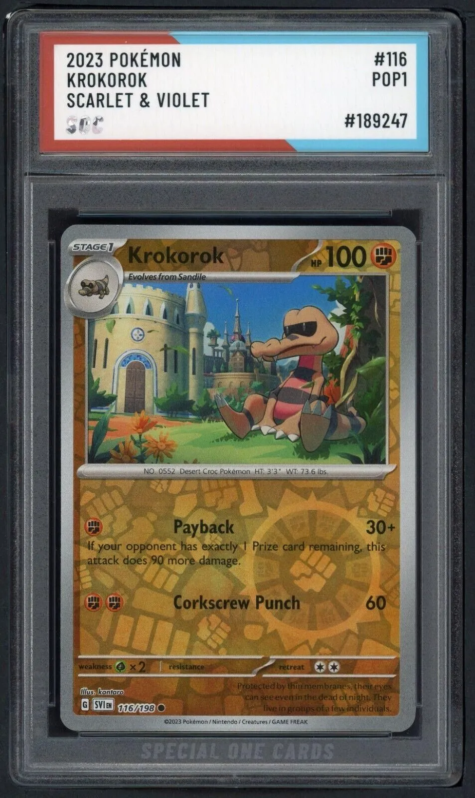 pokemon krokorok card Amazon.com: Pokemon Evolution Set - Krookodile 109/185 - Krokorok & Sandile  - Vivid Voltage main image 1
