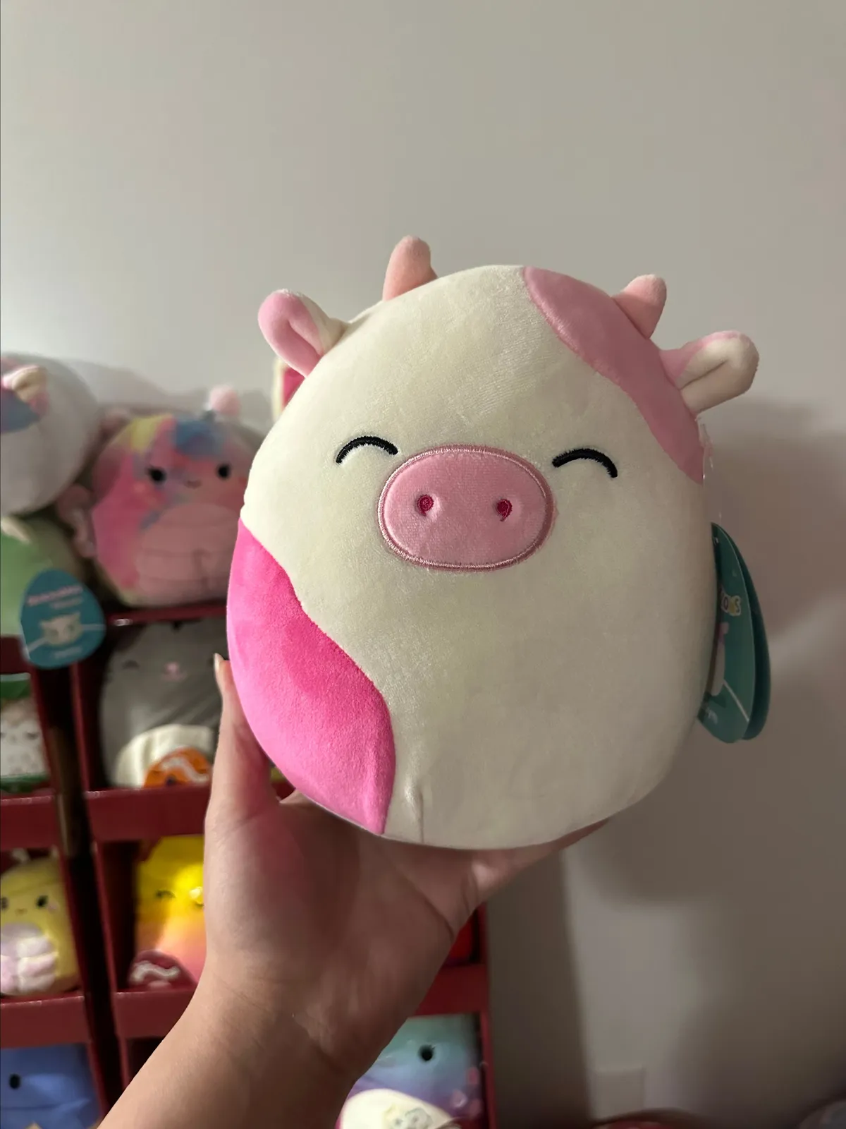 Caedyn shops Squishmallow Stackable NWT