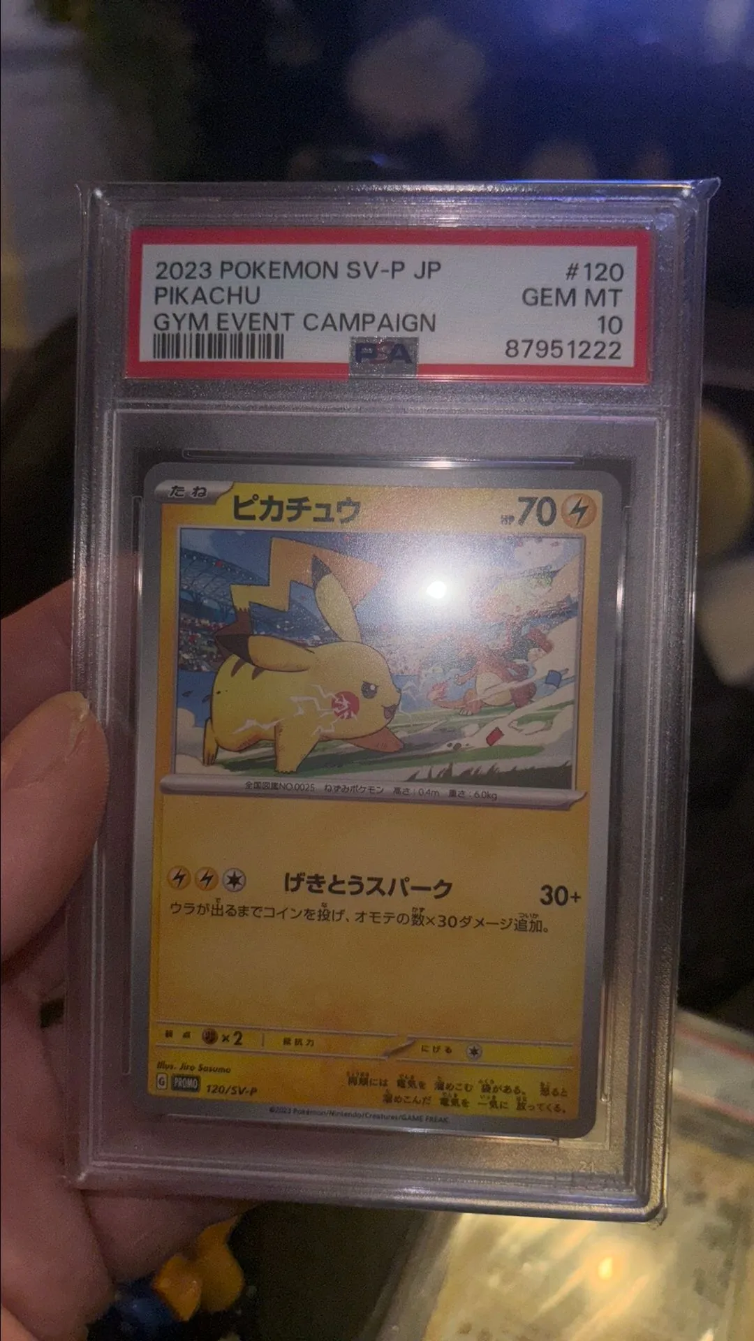 2023 Pokemon Japanese Sv-P Promo Pikachu Gym Event Campaign