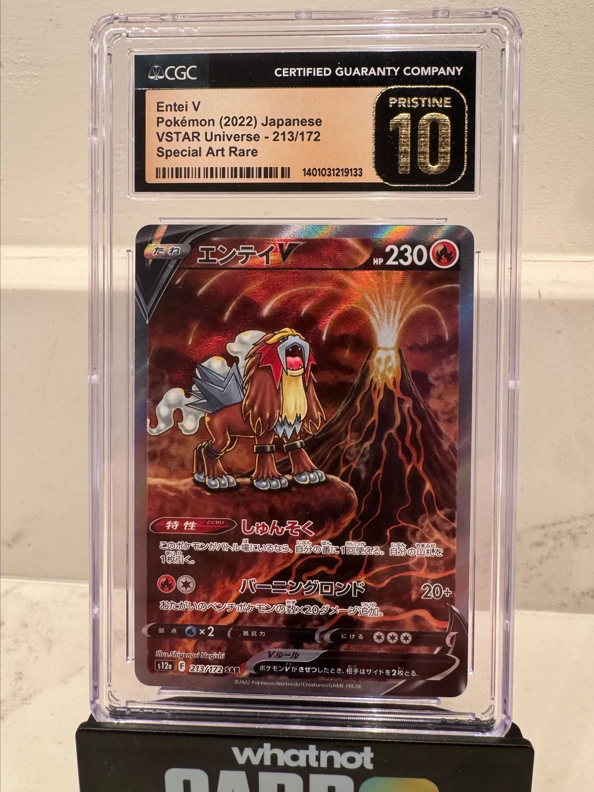 CGC PRISTINE 10 ENTEI V Special Art Rare SAR 213/172 Pokemon 2022