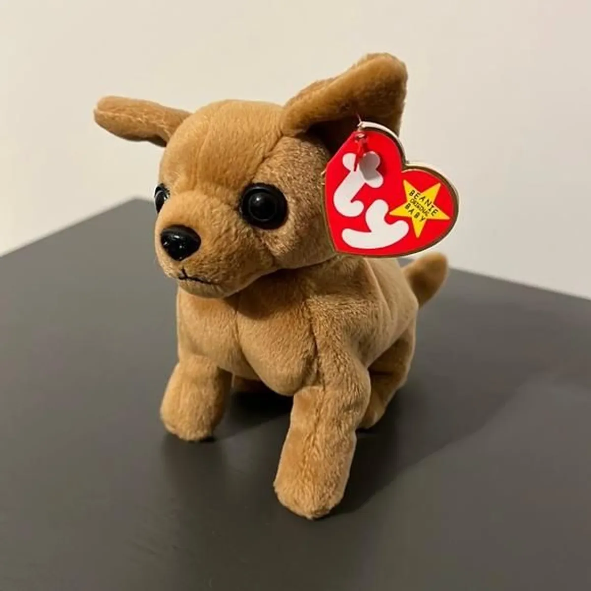 Ty beanie shops babies tiny the chihuahua dog