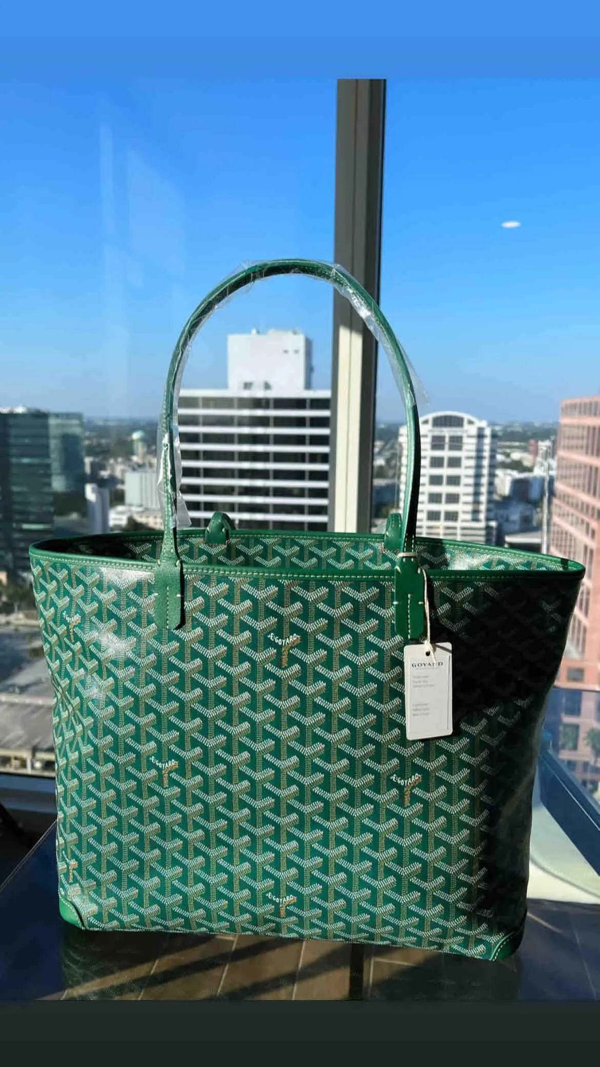 Goyard Green Goyardine Canvas And Chevroches Calfskin Saint