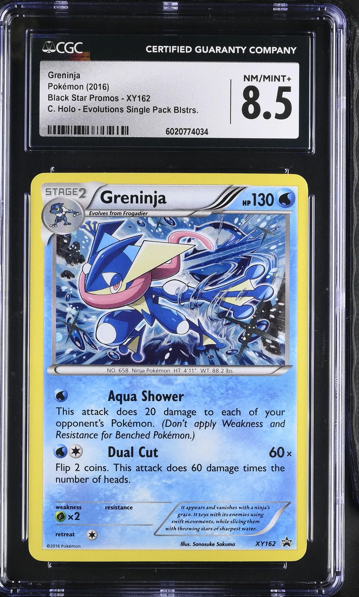 Pokémon Greninja #XY162 English CGC 8.5 - 2016 Pokémon Black