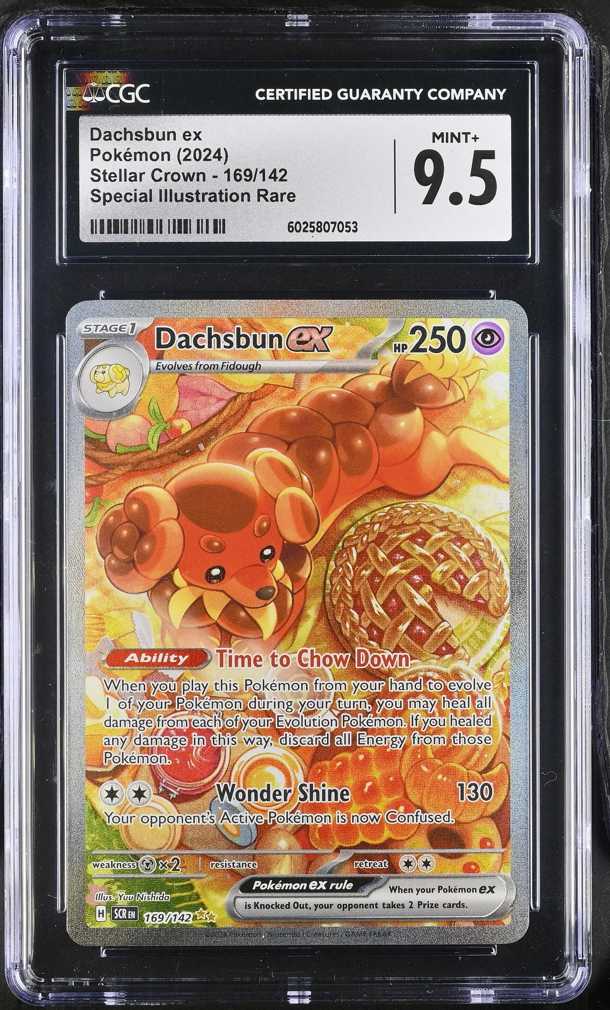 Dachsbun ex #169/142 English CGC 9.5 - 2024 Pokémon Stellar