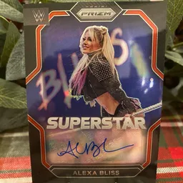 theotherstevescards