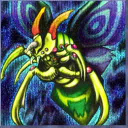 gummycardshop