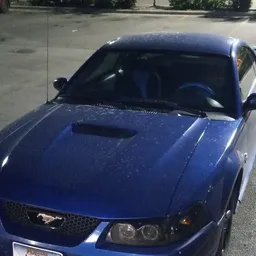 luckyfin