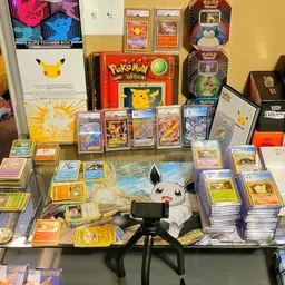 trainersblocktcg