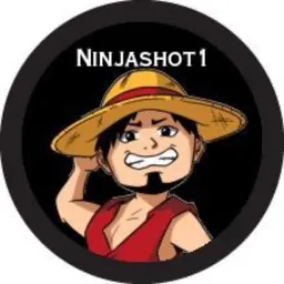 ninjashot1