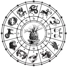 zodiac_cacti