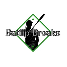 batflip_breaks