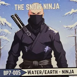 snowninja