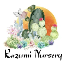 kazuminursery