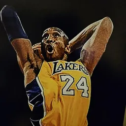 kobe24man8