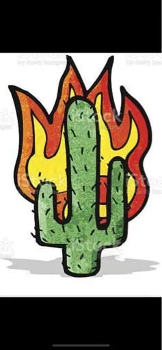 cactusjill