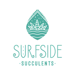 surfsidesucculents
