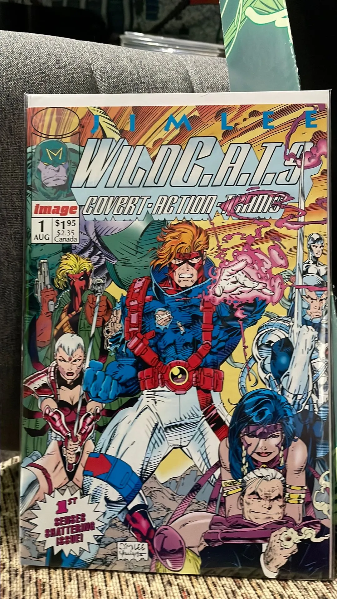 Product image for Wildcats test
